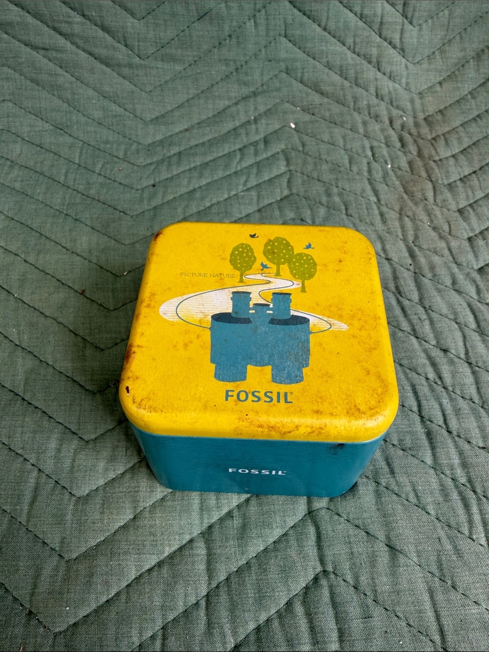 Fossil Yellow and Teal Scenic Tin Storage Box